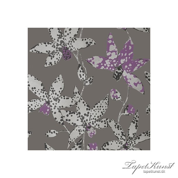 Anna French Spotted Orchid Silver on Charcoal