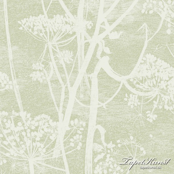 Cow Parsley - Olive 
