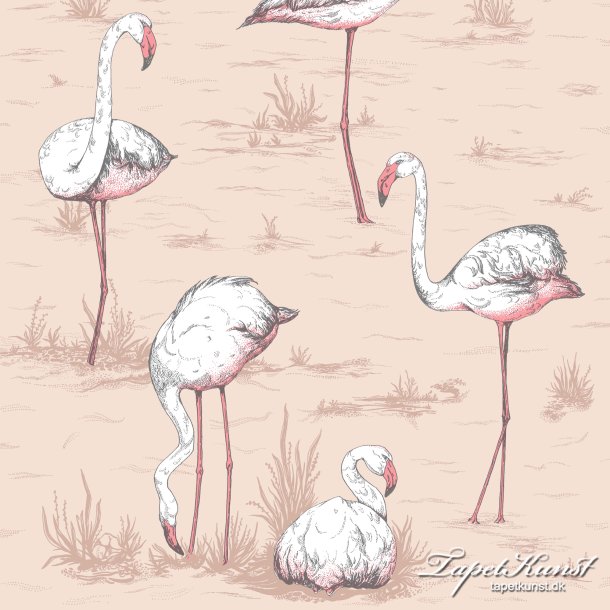 Flamingos - Ballet Slipper